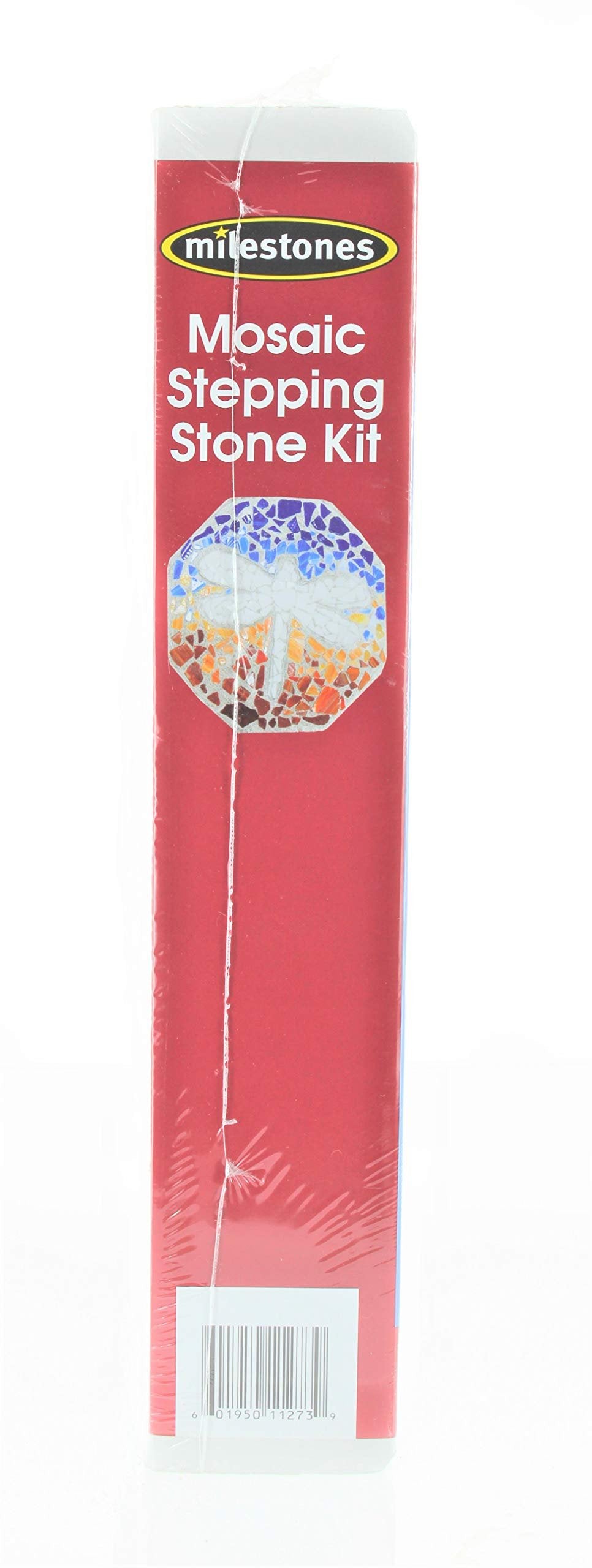 Milestones Mosaic Stepping Stone Kit, Makes a 12-Inch Stone