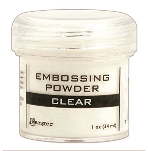 Embossing Essentials Basics: VersaMark Watermark Ink Stamp Pad, Versamarker, Inkadinkado Embossing Powder Tool and Ranger Embossing Powder Clear