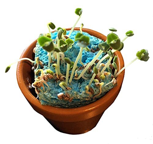 SmartLab Toys TINY Gardening with 20 Enormously Fun Growing Activities. Big Science. Tiny Tools.
