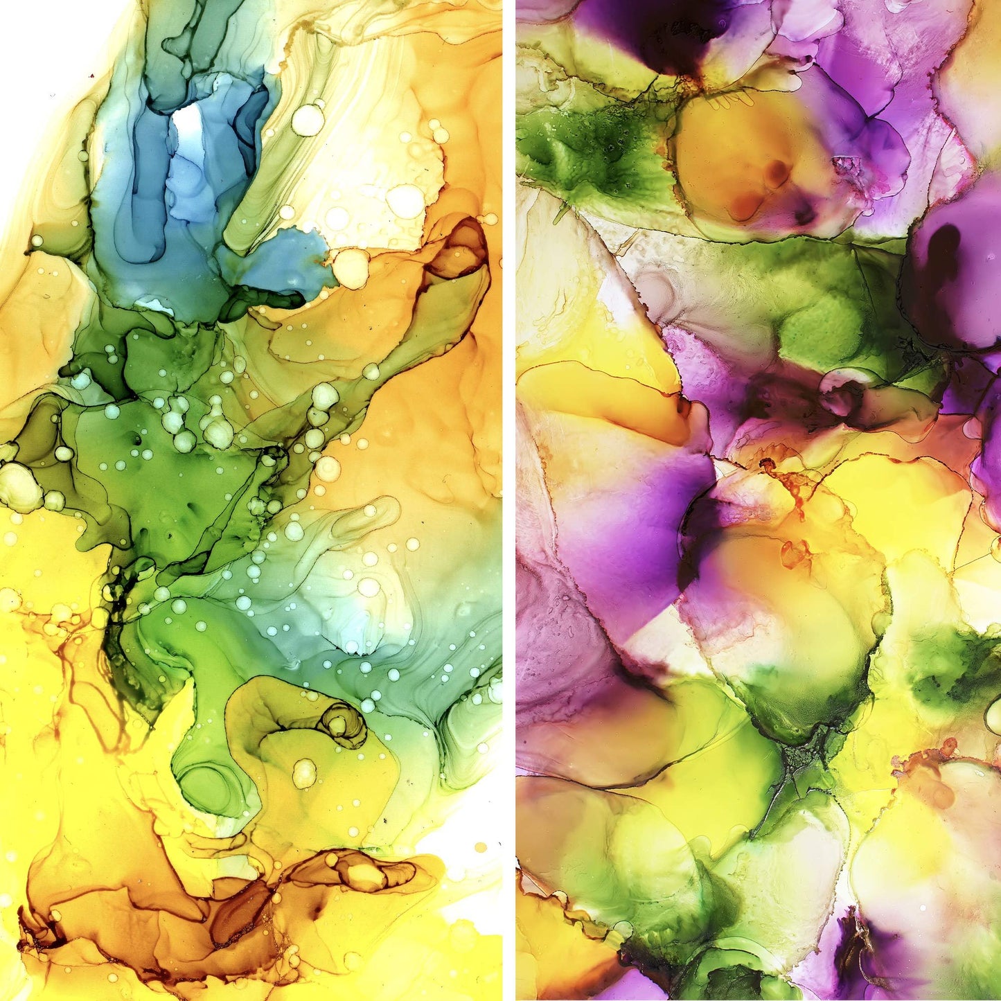 Pixiss Alcohol Ink Set - 25 Large Highly Saturated Colors (15ml/.5oz) Alcohol-Based Inks for Resin Petri Dishes, Alcohol Ink Paper, Tumblers, Coasters, Resin Dye