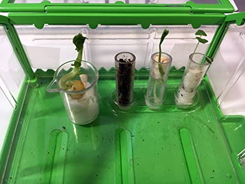 SmartLab Toys TINY Gardening with 20 Enormously Fun Growing Activities. Big Science. Tiny Tools.