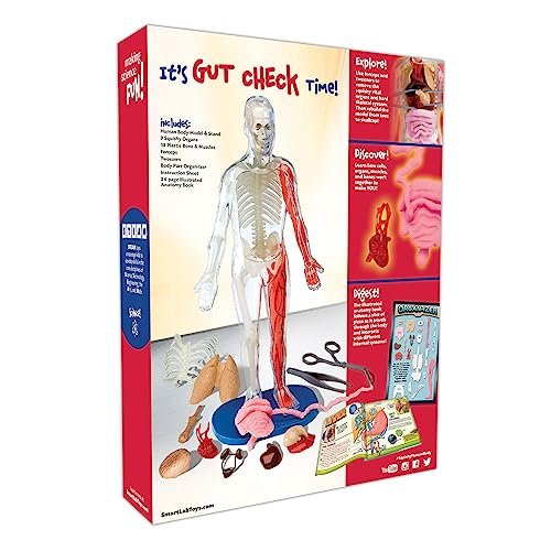 SmartLab QPG Lab for Kids, Squishy Human Body, Grade 3-8