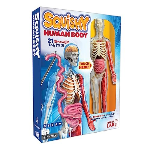 SmartLab QPG Lab for Kids, Squishy Human Body, Grade 3-8