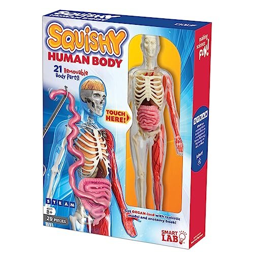 SmartLab QPG Lab for Kids, Squishy Human Body, Grade 3-8