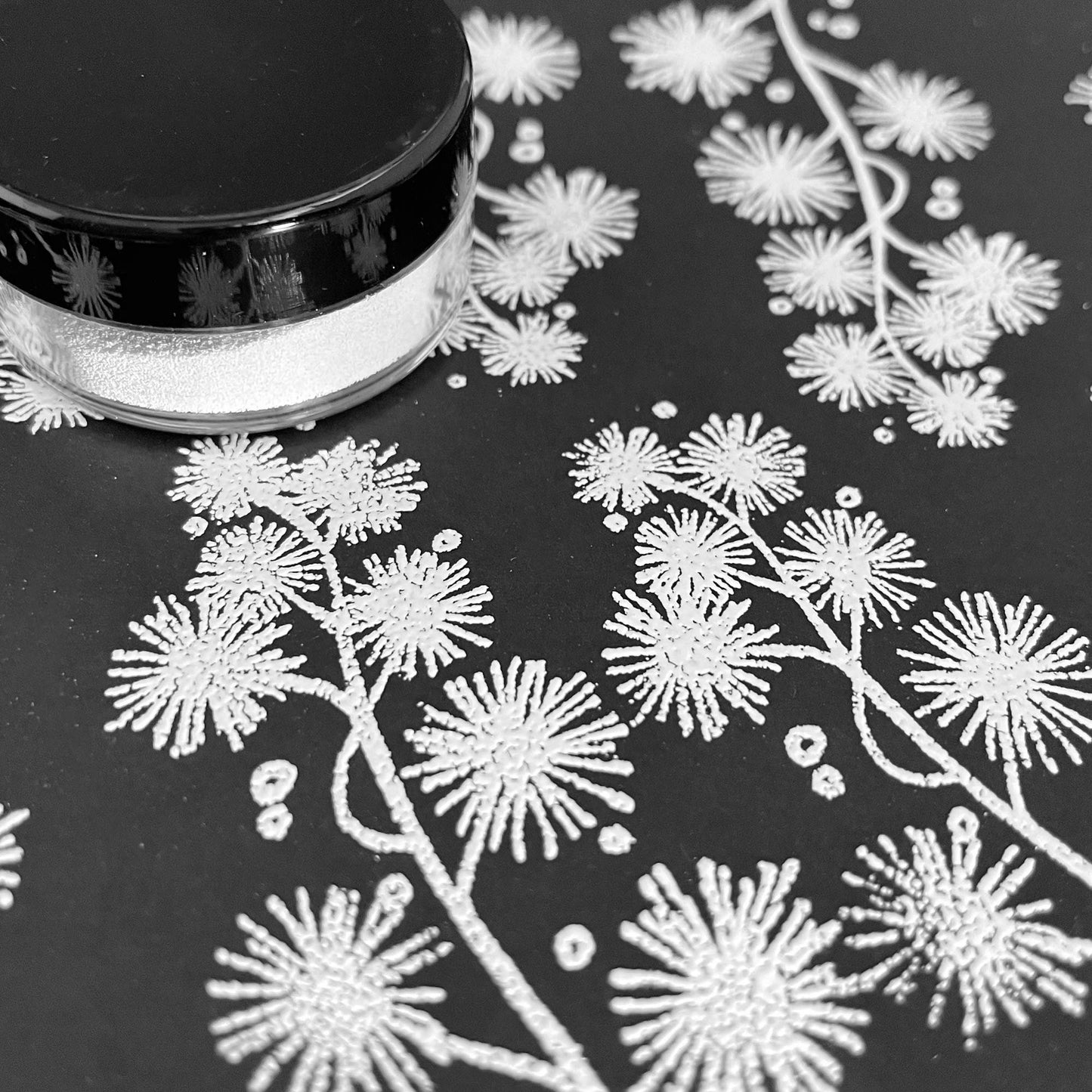 Pixiss Embossing Powder Bundle